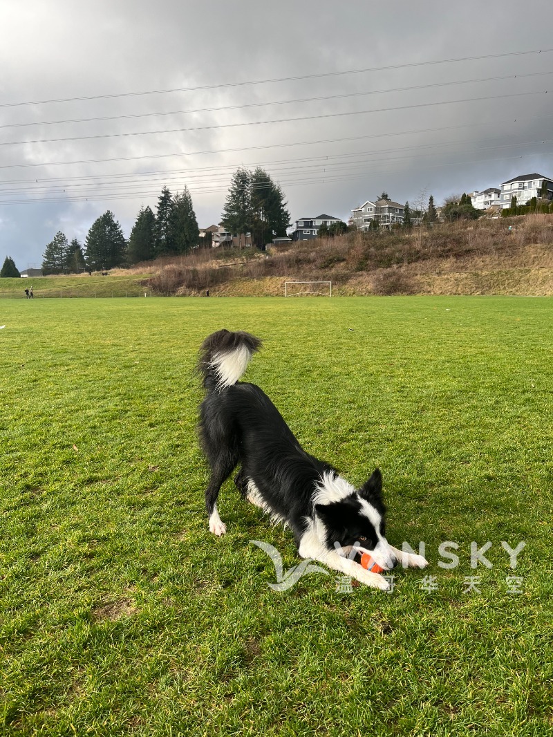 260313224446_Ollie A.jpg